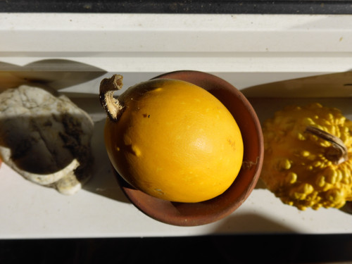 Object A Detail Thing Publicdomain (13).jpg