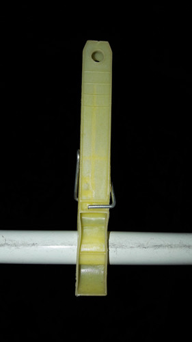 Green Grass Brown Brown.jpg