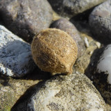 Object A Detail Thing Publicdomain (9)