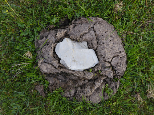 Object A Detail Thing Publicdomain (7).jpg