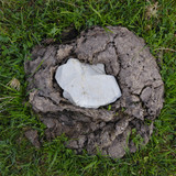 Object A Detail Thing Publicdomain (7)