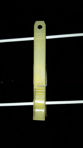 Green Grass Brown Brown.jpg