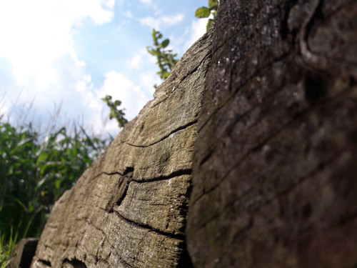 Motive; Publicdomain; Cc0; Freeimage;.jpg