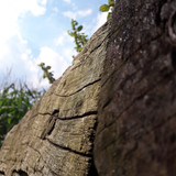 Motive; Publicdomain; Cc0; Freeimage;