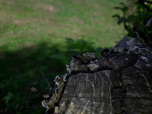 Motive; Publicdomain; Cc0; Freeimage;.jpg