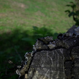 Motive; Publicdomain; Cc0; Freeimage;