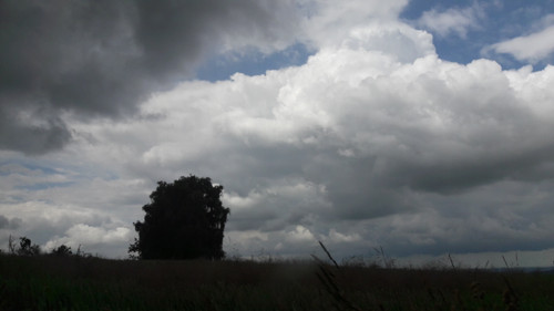 Clouds; Publicdomain; Cc0; Freeimage;.jpg