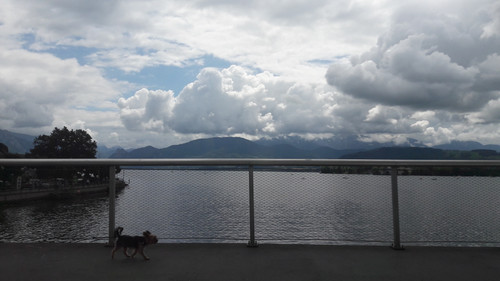 Clouds; Publicdomain; Cc0; Freeimage;.jpg