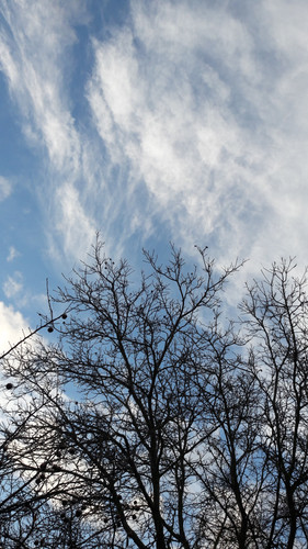 Clouds; Publicdomain; Cc0; Freeimage;.jpg