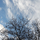 Clouds; Publicdomain; Cc0; Freeimage;