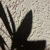Shadow; Publicdomain; Cc0; Freeimage;