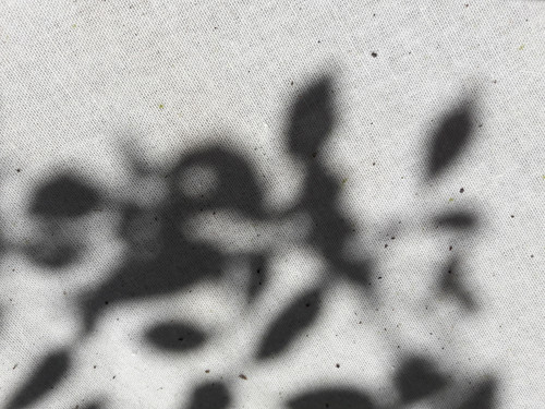 Shadow; Publicdomain; Cc0; Freeimage;.jpg