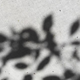 Shadow; Publicdomain; Cc0; Freeimage;