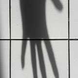 Shadow; Publicdomain; Cc0; Freeimage;