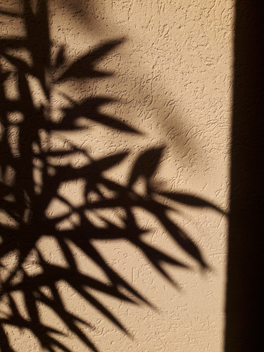 Shadow; Publicdomain; Cc0; Freeimage;.jpg