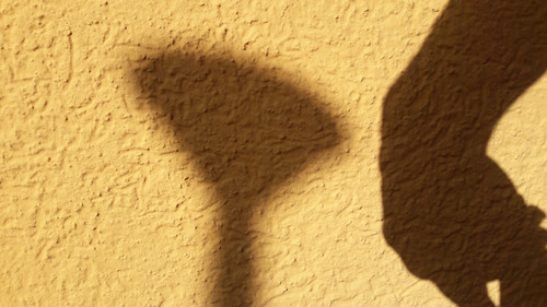 Shadow; Publicdomain; Cc0; Freeimage;.jpg