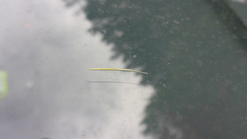 Motive; Publicdomain; Cc0; Freeimage;.jpg