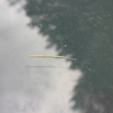 Motive; Publicdomain; Cc0; Freeimage;