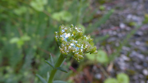 Motive; Publicdomain; Cc0; Freeimage;.jpg