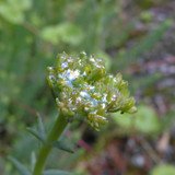 Motive; Publicdomain; Cc0; Freeimage;