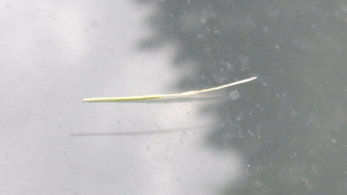 Motive; Publicdomain; Cc0; Freeimage;.jpg