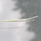 Motive; Publicdomain; Cc0; Freeimage;