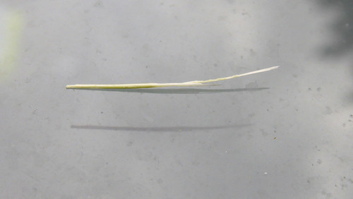 Motive; Publicdomain; Cc0; Freeimage;.jpg