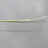 Motive; Publicdomain; Cc0; Freeimage;