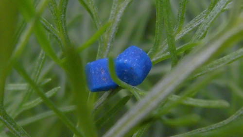 Motive; Publicdomain; Cc0; Freeimage;.jpg