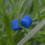 Motive; Publicdomain; Cc0; Freeimage;