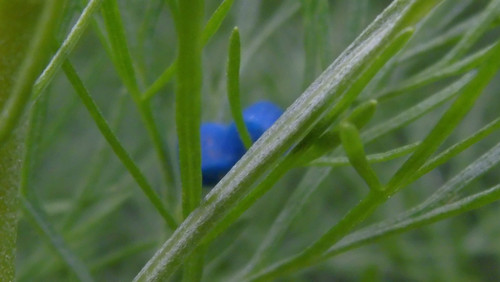 Motive; Publicdomain; Cc0; Freeimage;.jpg