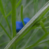 Motive; Publicdomain; Cc0; Freeimage;