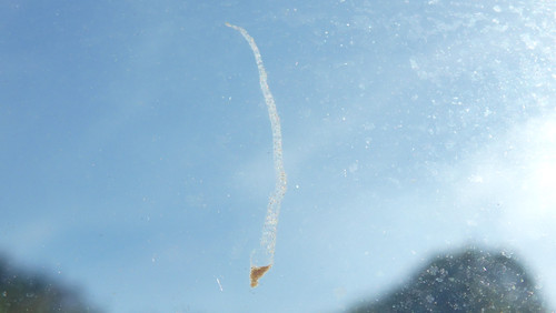 Motive; Publicdomain; Cc0; Freeimage;.jpg