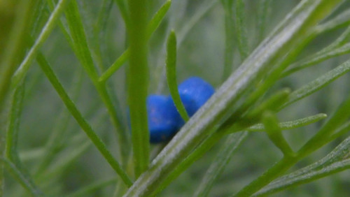 Motive; Publicdomain; Cc0; Freeimage;.jpg