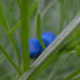 Motive; Publicdomain; Cc0; Freeimage;