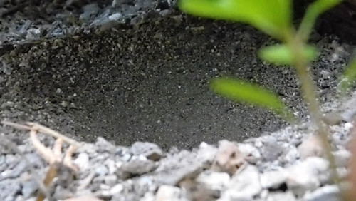 Motive; Publicdomain; Cc0; Freeimage;.jpg