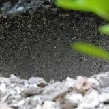 Motive; Publicdomain; Cc0; Freeimage;