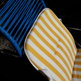 Natural Garden Photo