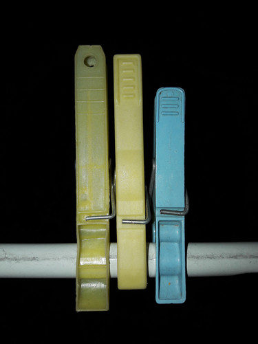 Green Grass Brown Brown.jpg