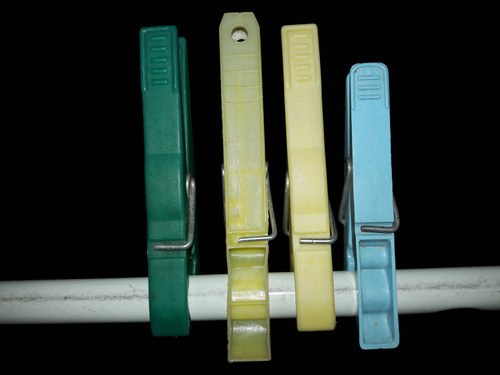 Green Grass Brown Brown.jpg