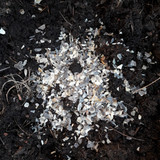 White Biological Stuff