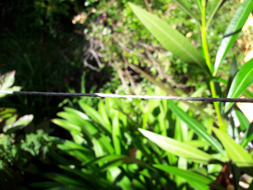 Motive; Publicdomain; Cc0; Freeimage;.jpg