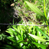 Motive; Publicdomain; Cc0; Freeimage;