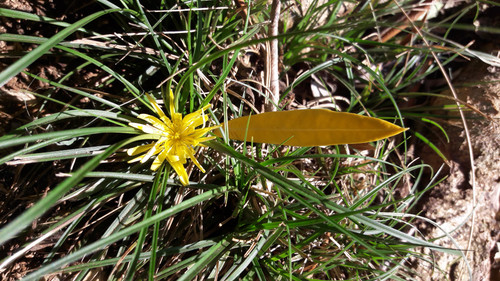 Motive; Publicdomain; Cc0; Freeimage;.jpg