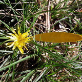 Motive; Publicdomain; Cc0; Freeimage;