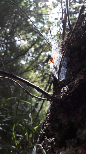 Motive; Publicdomain; Cc0; Freeimage;.jpg