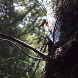 Motive; Publicdomain; Cc0; Freeimage;