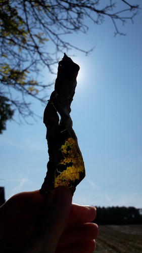 Motive; Publicdomain; Cc0; Freeimage;.jpg