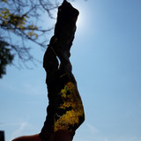 Motive; Publicdomain; Cc0; Freeimage;