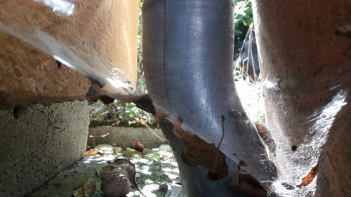 Motive; Publicdomain; Cc0; Freeimage;.jpg